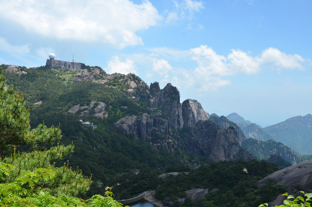 DSC_5021.JPG