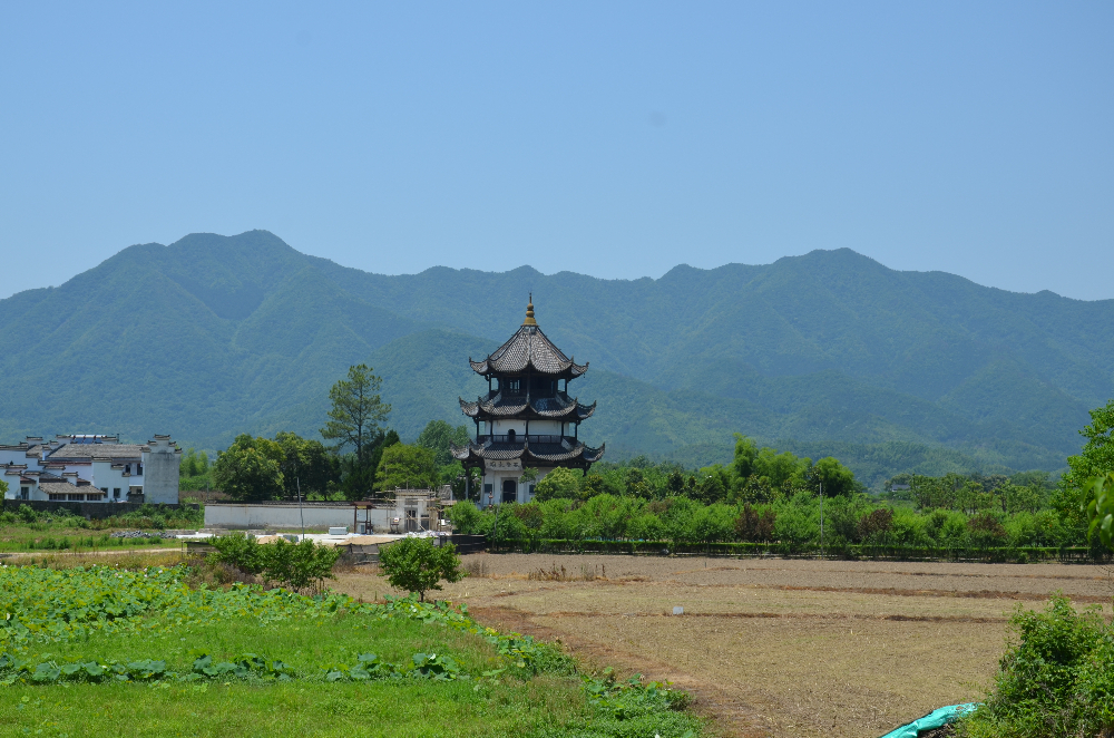DSC_4772.JPG