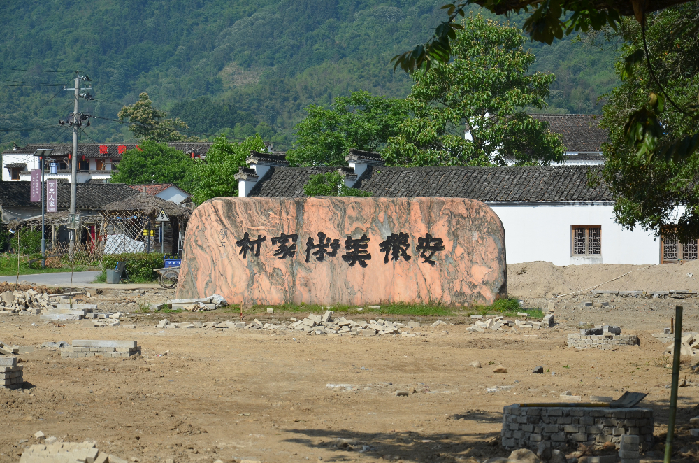 DSC_4565.JPG