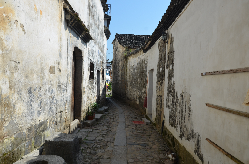 DSC_4638.JPG
